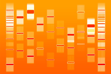 Orange DNA art
